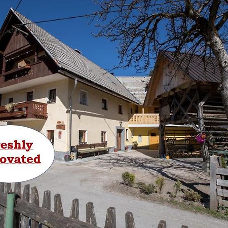 Farmhouse Pri Miklavu Bohinj Εξωτερικό φωτογραφία