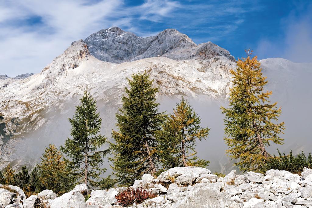 Farmhouse Pri Miklavu Bohinj Εξωτερικό φωτογραφία