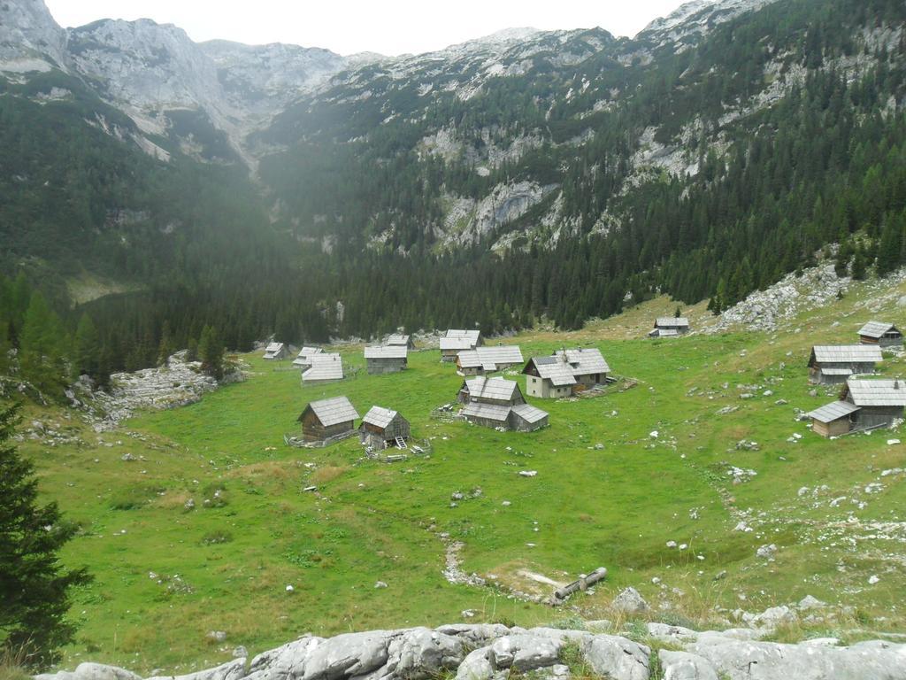 Farmhouse Pri Miklavu Bohinj Εξωτερικό φωτογραφία