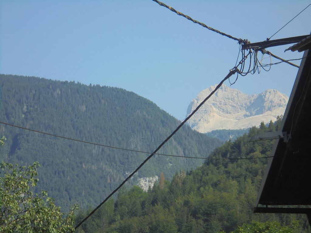 Farmhouse Pri Miklavu Bohinj Εξωτερικό φωτογραφία