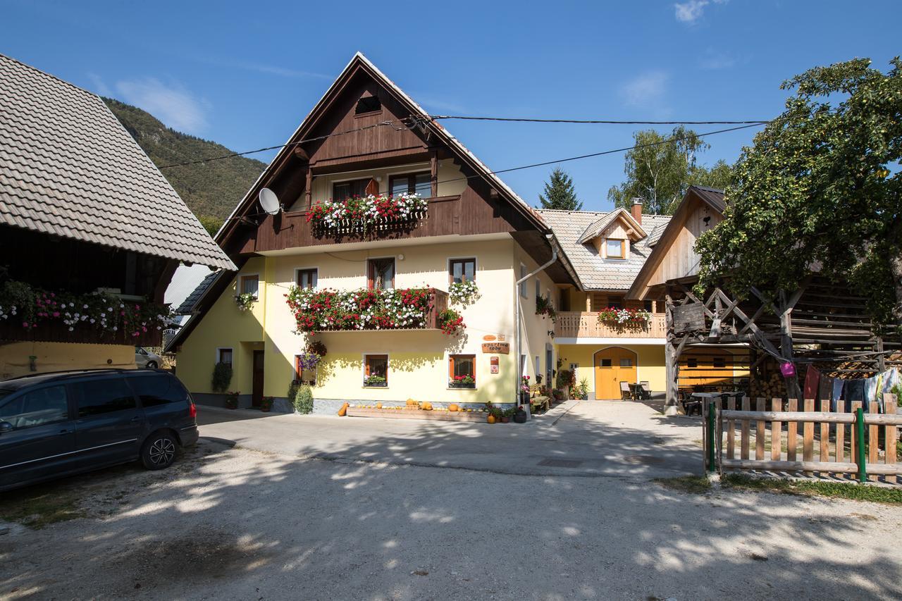 Farmhouse Pri Miklavu Bohinj Εξωτερικό φωτογραφία