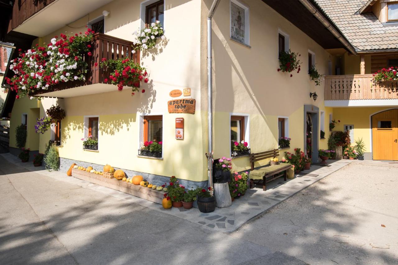 Farmhouse Pri Miklavu Bohinj Εξωτερικό φωτογραφία