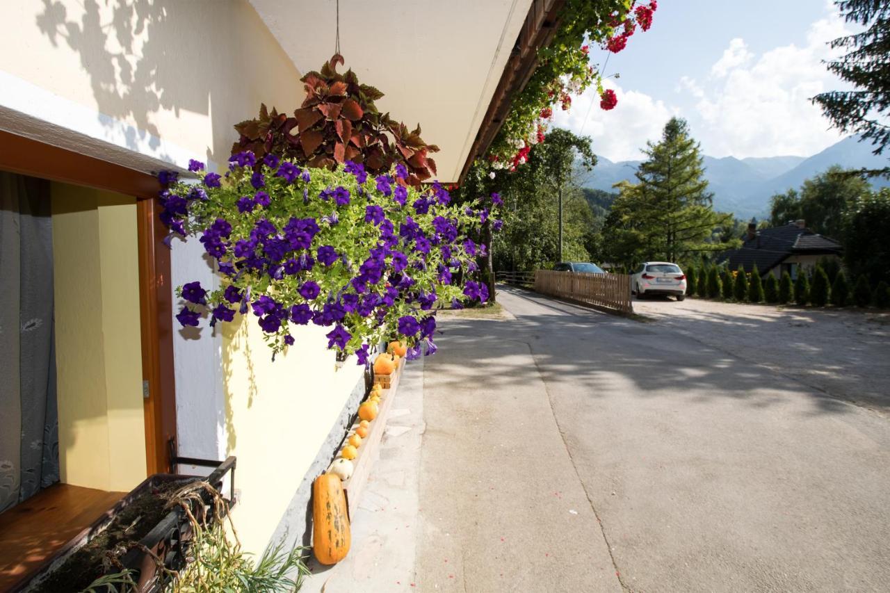 Farmhouse Pri Miklavu Bohinj Εξωτερικό φωτογραφία