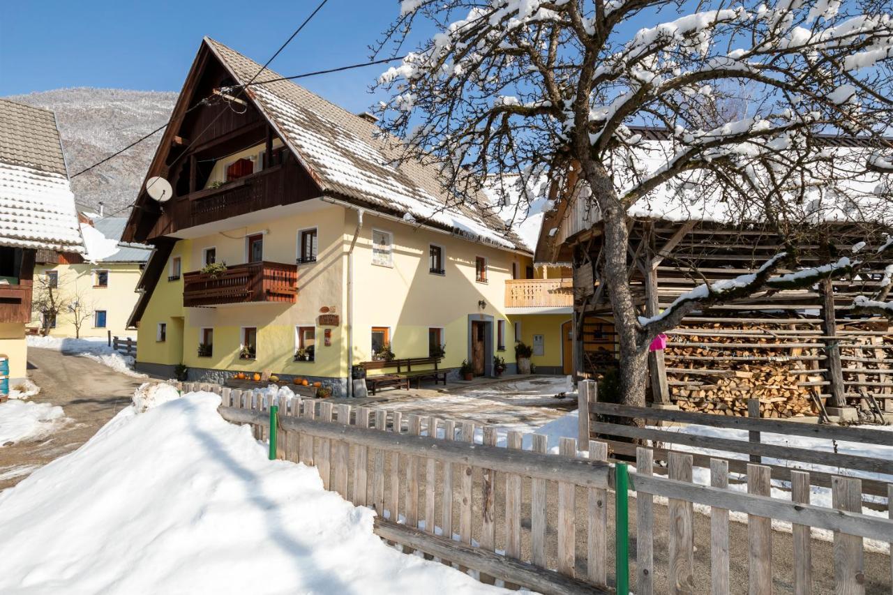 Farmhouse Pri Miklavu Bohinj Εξωτερικό φωτογραφία